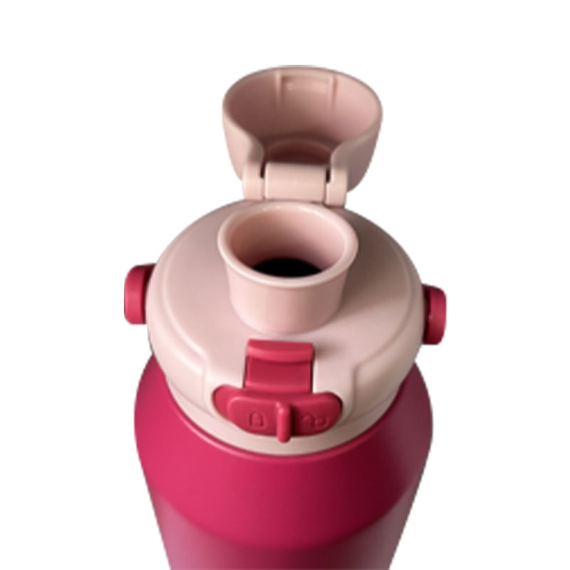 Wide-Mouth Flip Lid Sports Bottle